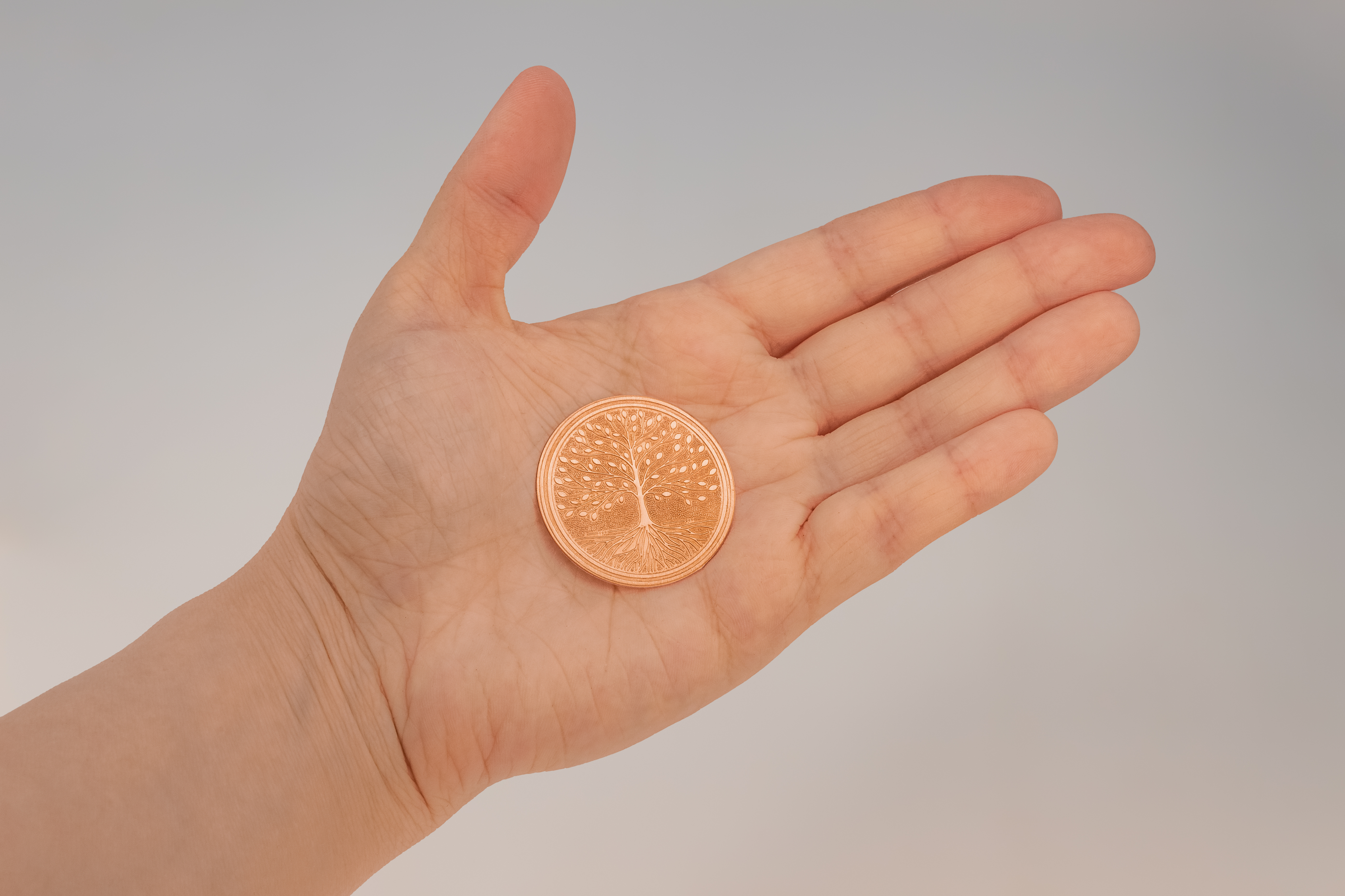 Пятак медный "Дерево жизни"