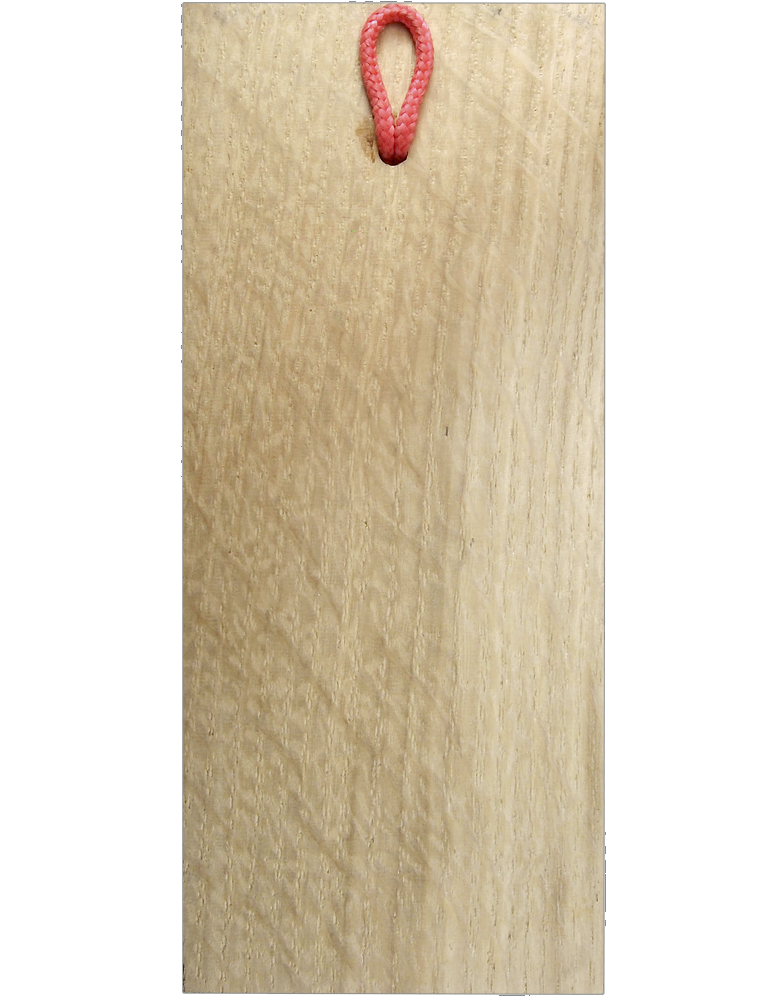 Плакетка 55Х130 «Печать Ярослава Мудрого. XI в.»